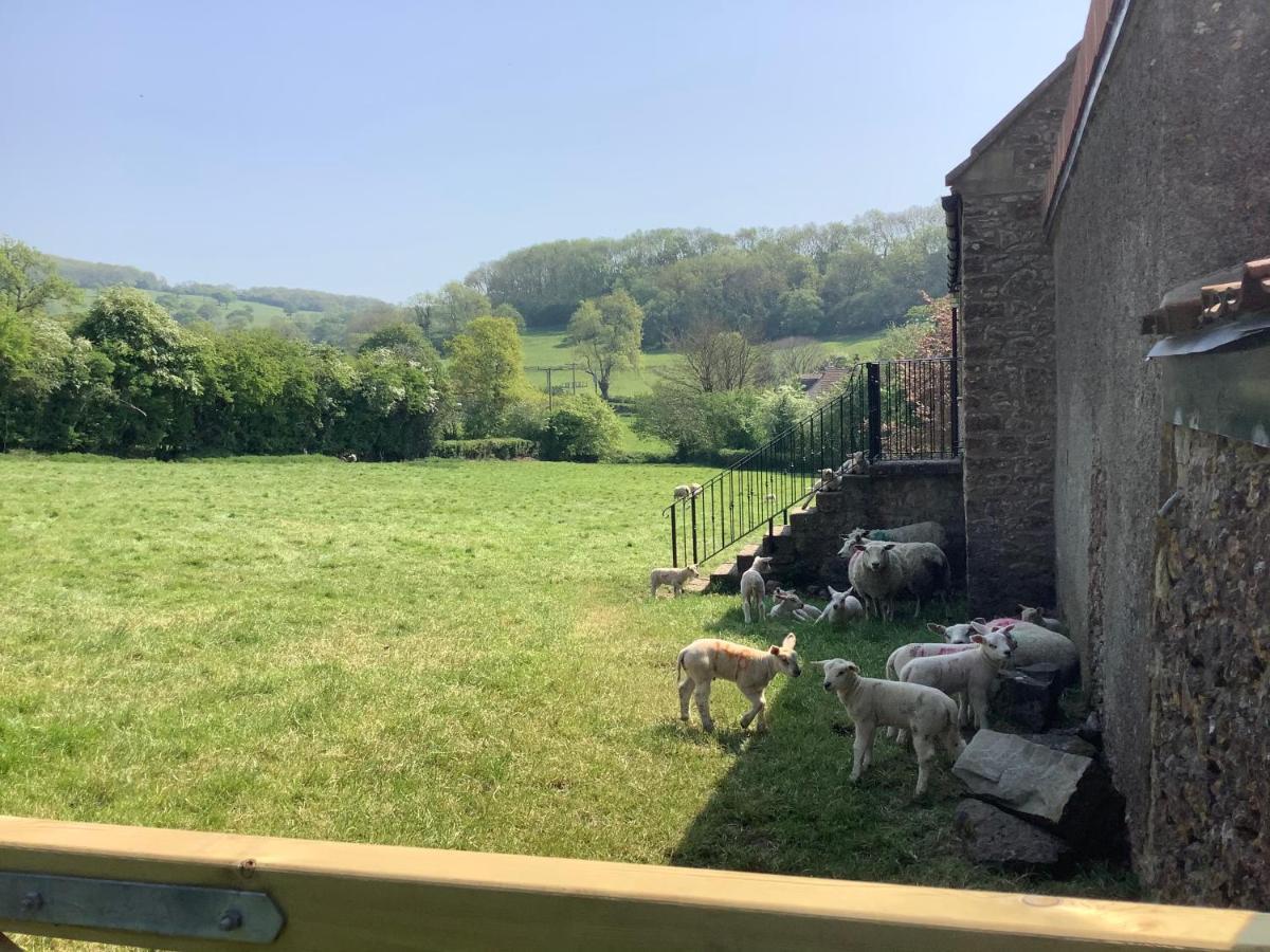 Hayloft Villa Cheddar Exterior photo